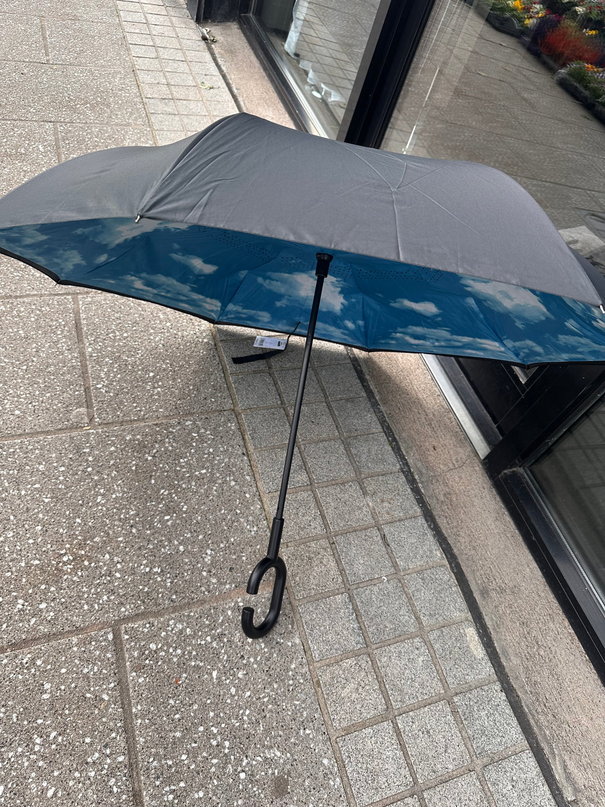 SKY UMBRELLA