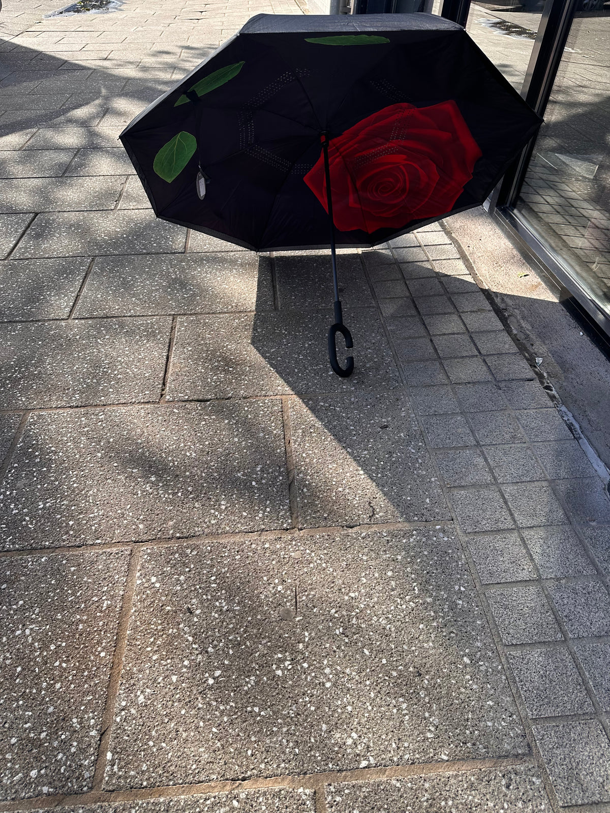 UMBRELLA 1