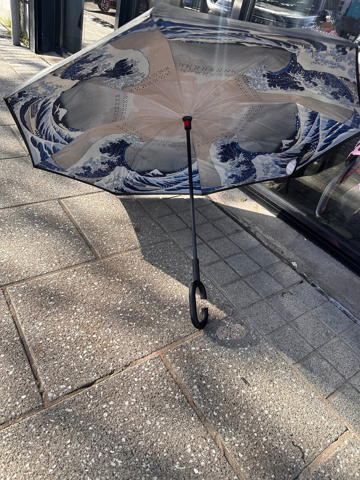 UMBRELLA 7