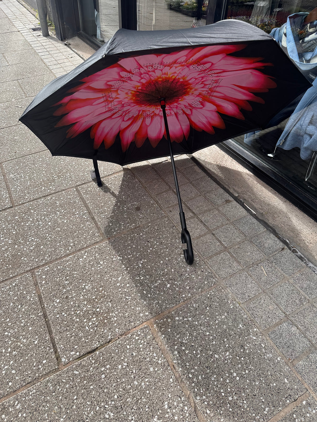 RED AND PINK UMBRELLA
