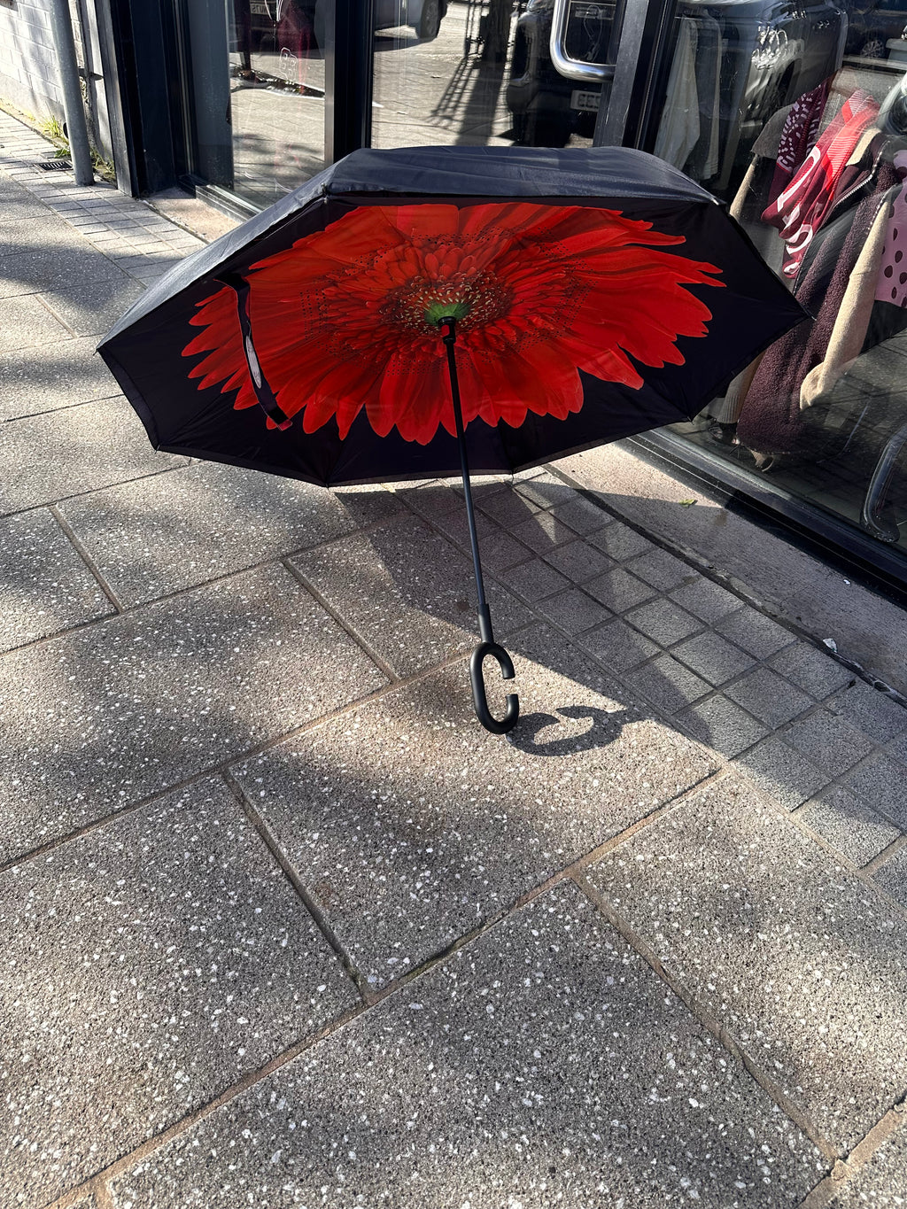 UMBRELLA 8