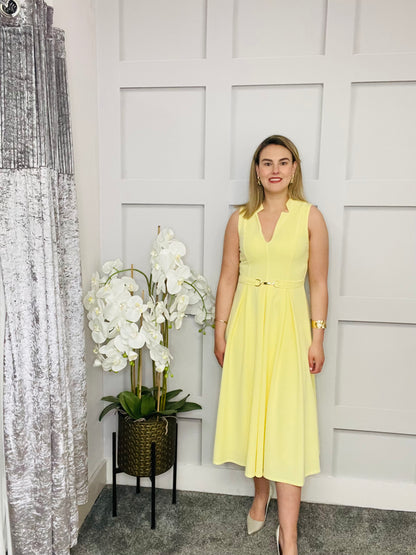AMEYA DRESS