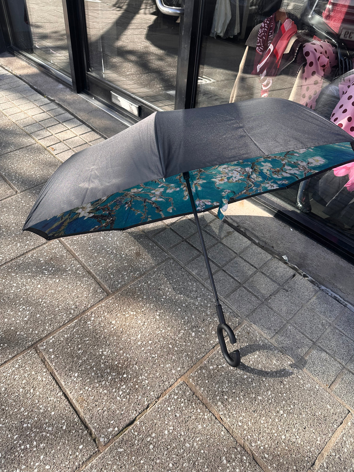 UMBRELLA 6