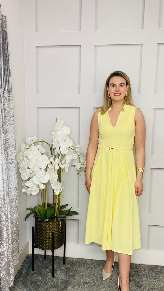 AMEYA DRESS