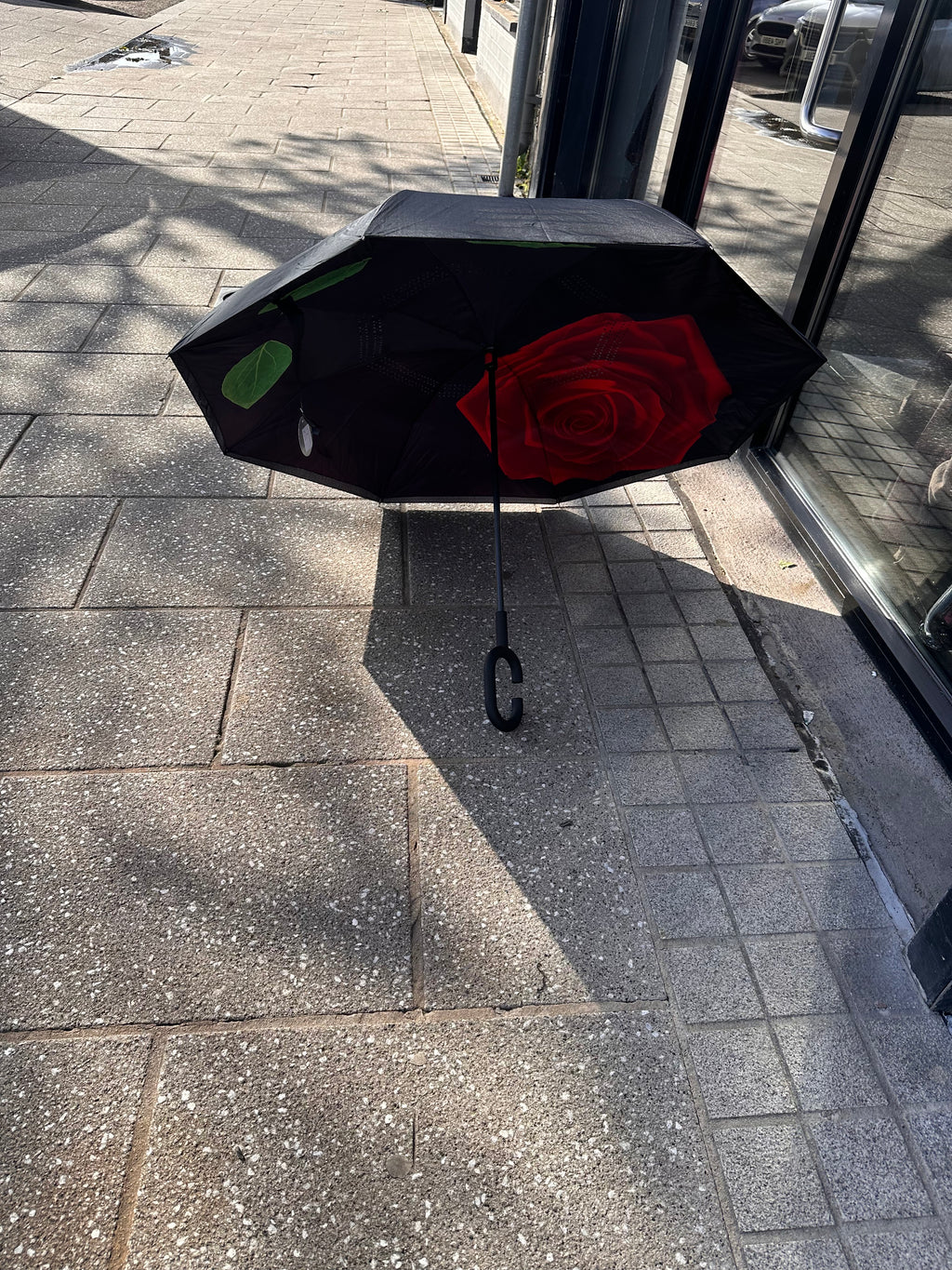 UMBRELLA 1