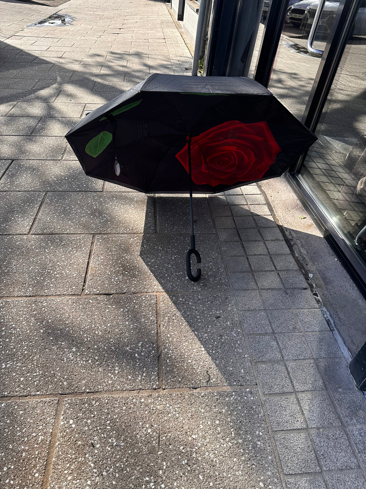 UMBRELLA 1