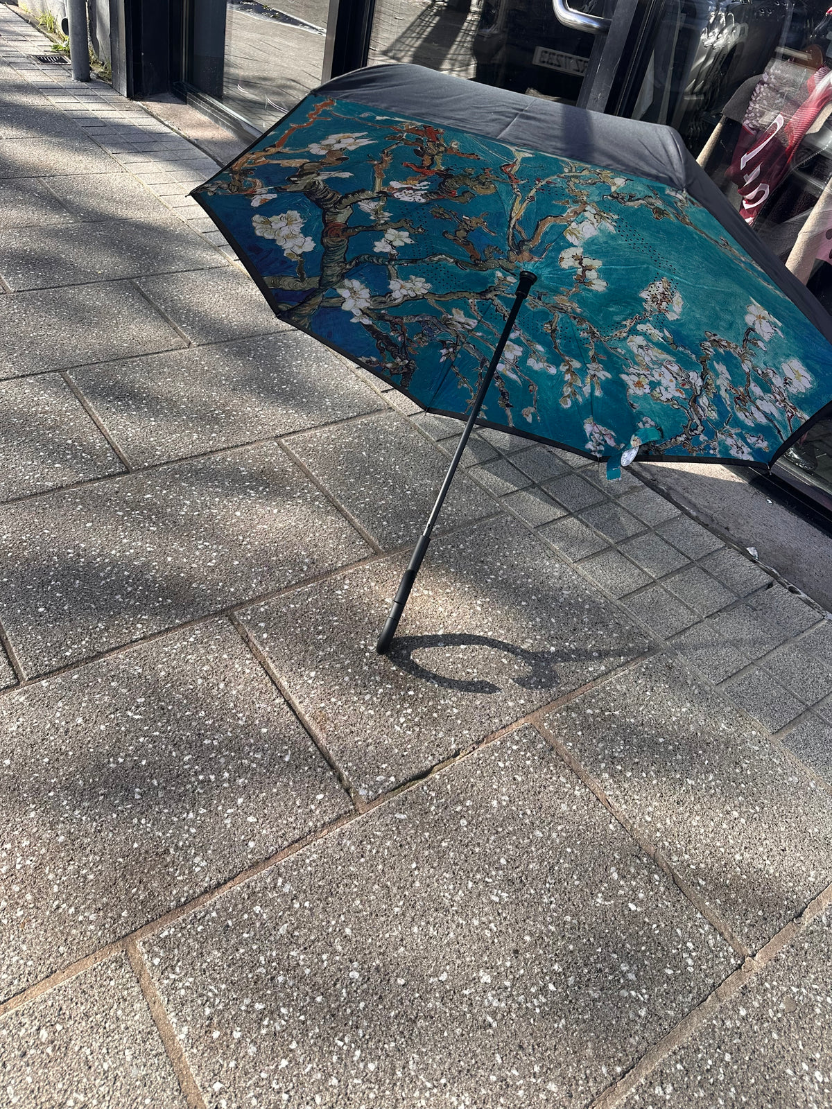 UMBRELLA 6